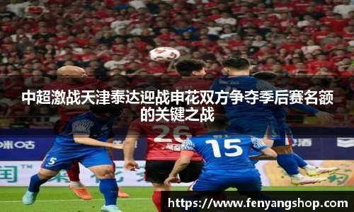 中超激战天津泰达迎战申花双方争夺季后赛名额的关键之战