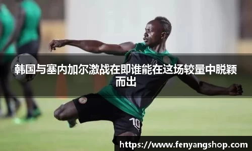 韩国与塞内加尔激战在即谁能在这场较量中脱颖而出