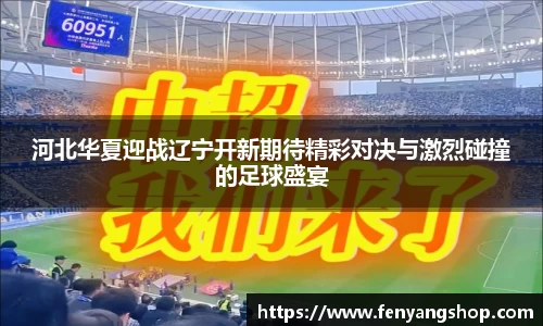 河北华夏迎战辽宁开新期待精彩对决与激烈碰撞的足球盛宴