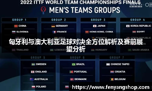 匈牙利与澳大利亚足球对决全方位解析及赛前展望分析